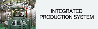 Integrated
Production System