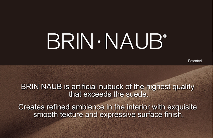 BRIN NAUB