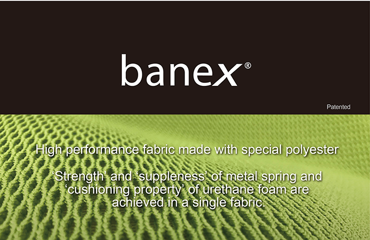 Banex